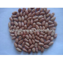 best quality peanut kernel for sale with lowest price